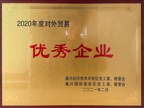 2020年度對外貿(mào)易優(yōu)秀企業(yè)